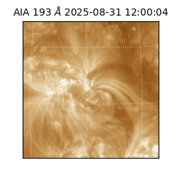 saia - 2025-08-31T12:00:04.843000