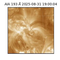 saia - 2025-08-31T19:00:04.843000