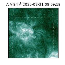 saia - 2025-08-31T09:59:59.130000