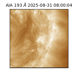saia - 2025-08-31T08:00:04.843000