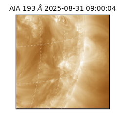 saia - 2025-08-31T09:00:04.842000