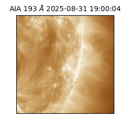 saia - 2025-08-31T19:00:04.843000