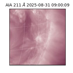 saia - 2025-08-31T09:00:09.632000