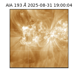 saia - 2025-08-31T19:00:04.843000