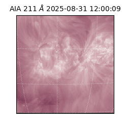 saia - 2025-08-31T12:00:09.632000