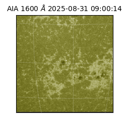 saia - 2025-08-31T09:00:14.134000