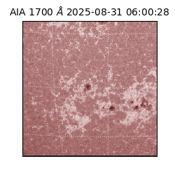 saia - 2025-08-31T06:00:28.718000