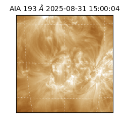 saia - 2025-08-31T15:00:04.843000