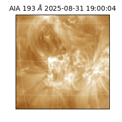 saia - 2025-08-31T19:00:04.843000