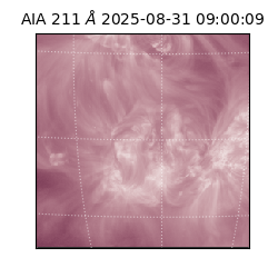 saia - 2025-08-31T09:00:09.632000