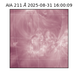 saia - 2025-08-31T16:00:09.622000