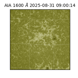 saia - 2025-08-31T09:00:14.134000