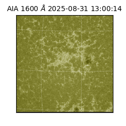 saia - 2025-08-31T13:00:14.126000