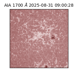 saia - 2025-08-31T09:00:28.717000