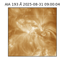 saia - 2025-08-31T09:00:04.842000