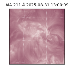 saia - 2025-08-31T13:00:09.632000