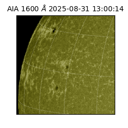 saia - 2025-08-31T13:00:14.126000