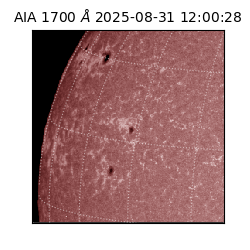 saia - 2025-08-31T12:00:28.718000