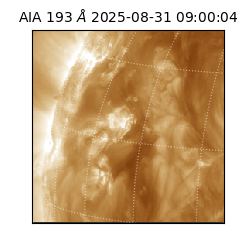 saia - 2025-08-31T09:00:04.842000