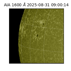 saia - 2025-08-31T09:00:14.134000