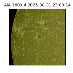 saia - 2025-08-31T23:00:14.125000