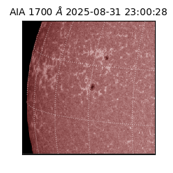 saia - 2025-08-31T23:00:28.718000