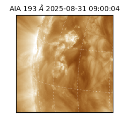 saia - 2025-08-31T09:00:04.842000