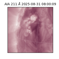 saia - 2025-08-31T08:00:09.631000