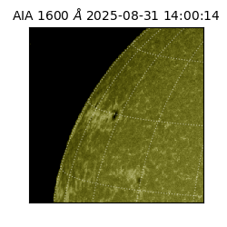 saia - 2025-08-31T14:00:14.126000