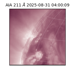 saia - 2025-08-31T04:00:09.632000