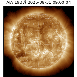 saia - 2025-08-31T09:00:04.842000