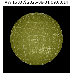 saia - 2025-08-31T09:00:14.134000