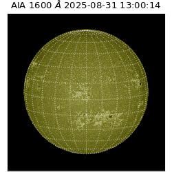 saia - 2025-08-31T13:00:14.126000