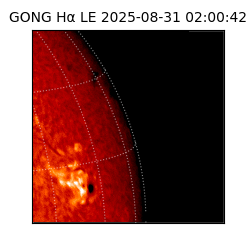 gong - 2025-08-31T02:00:42