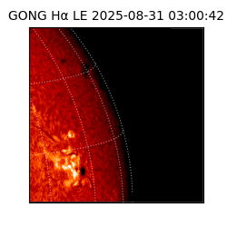 gong - 2025-08-31T03:00:42