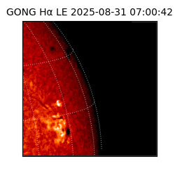 gong - 2025-08-31T07:00:42