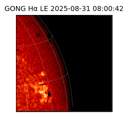 gong - 2025-08-31T08:00:42