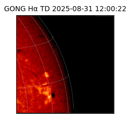 gong - 2025-08-31T12:00:22