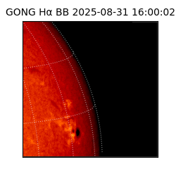 gong - 2025-08-31T16:00:02