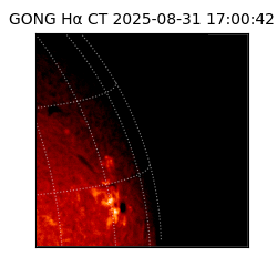 gong - 2025-08-31T17:00:42