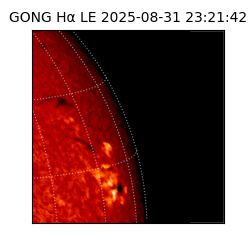 gong - 2025-08-31T23:21:42