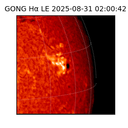 gong - 2025-08-31T02:00:42