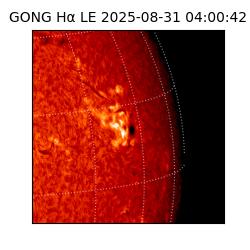 gong - 2025-08-31T04:00:42