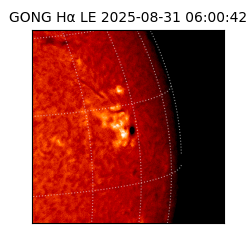 gong - 2025-08-31T06:00:42