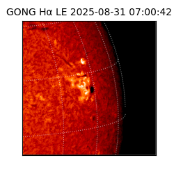 gong - 2025-08-31T07:00:42