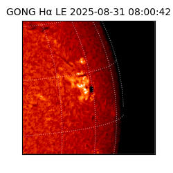 gong - 2025-08-31T08:00:42