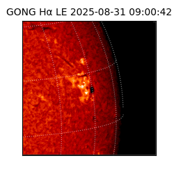gong - 2025-08-31T09:00:42
