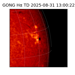 gong - 2025-08-31T13:00:22