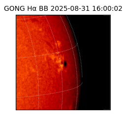 gong - 2025-08-31T16:00:02