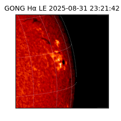gong - 2025-08-31T23:21:42